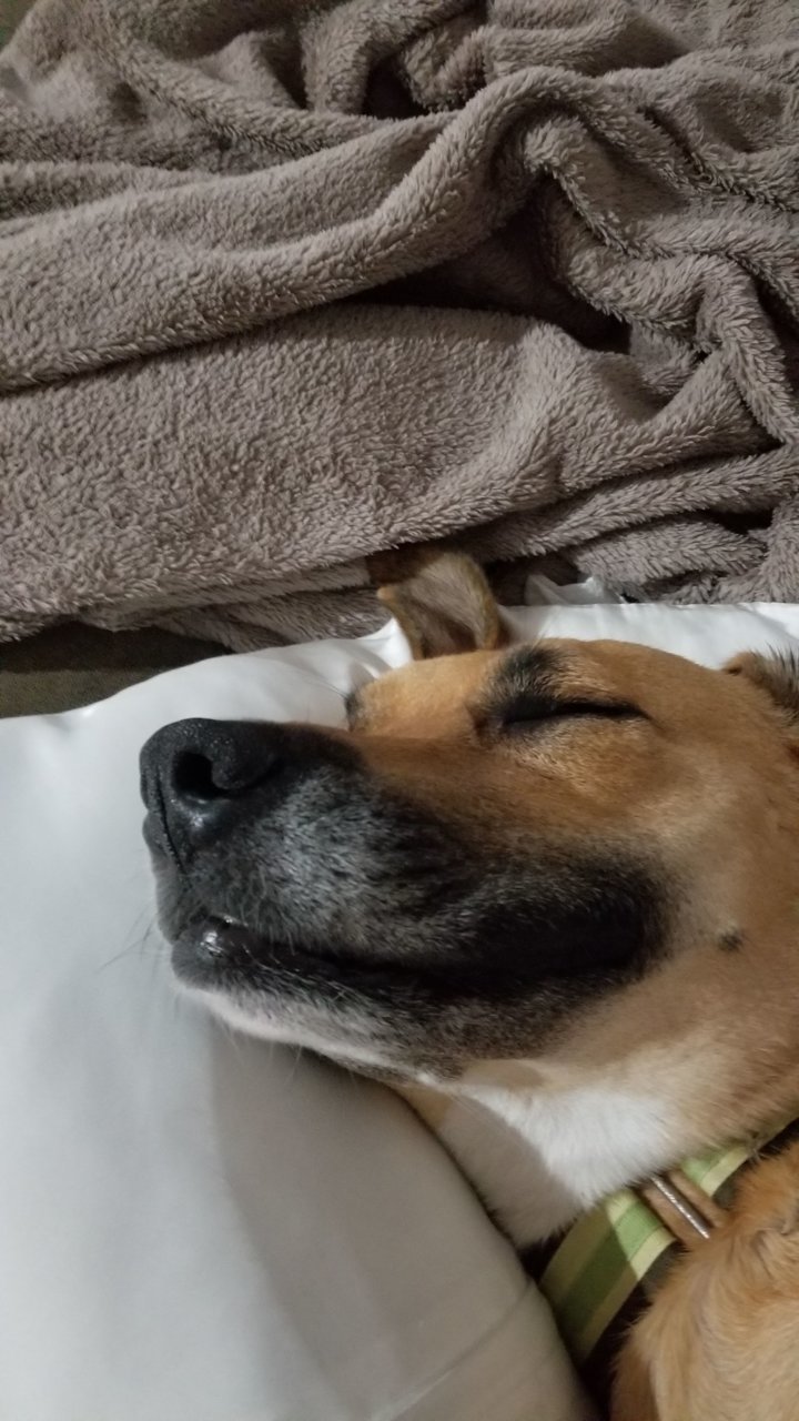 20190915_225744.jpg