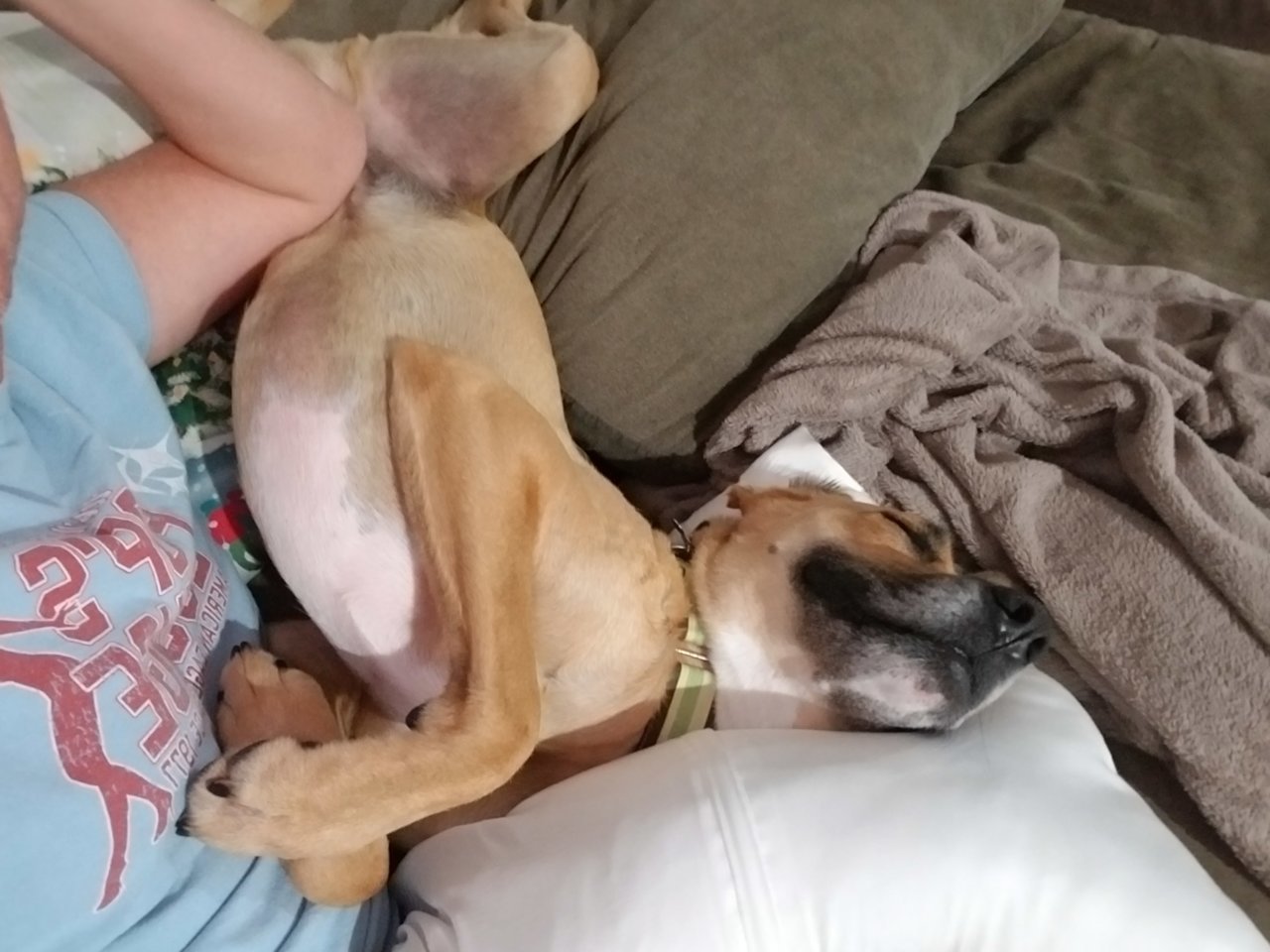 20190915_225804.jpg