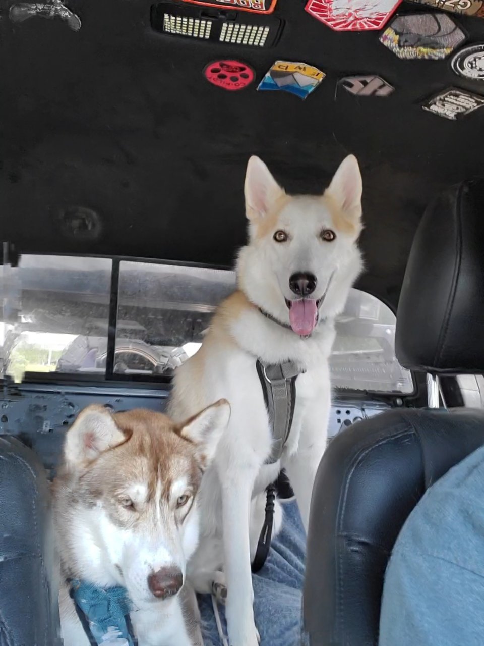 20190916_153754_capture.jpg
