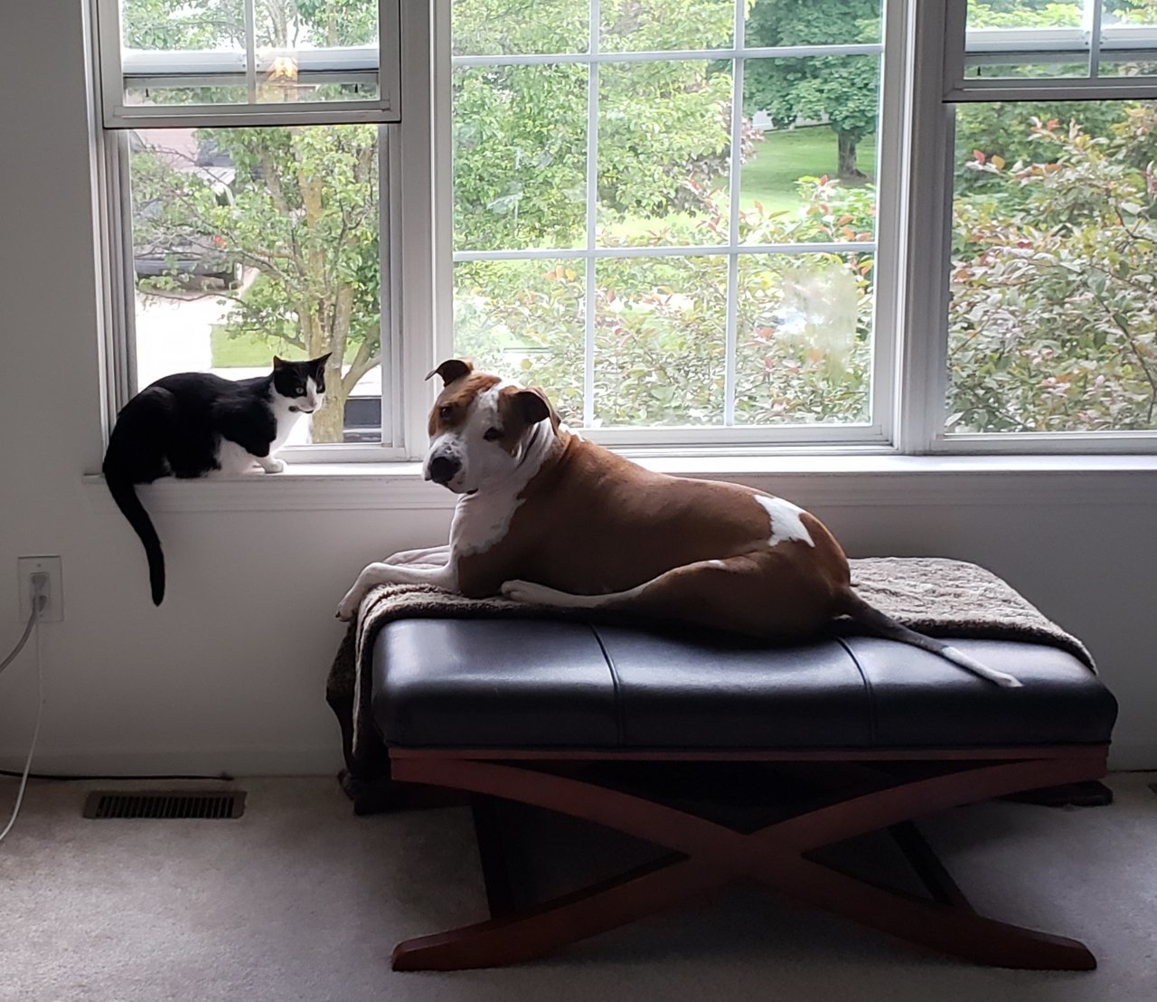 20190916_204806.jpg