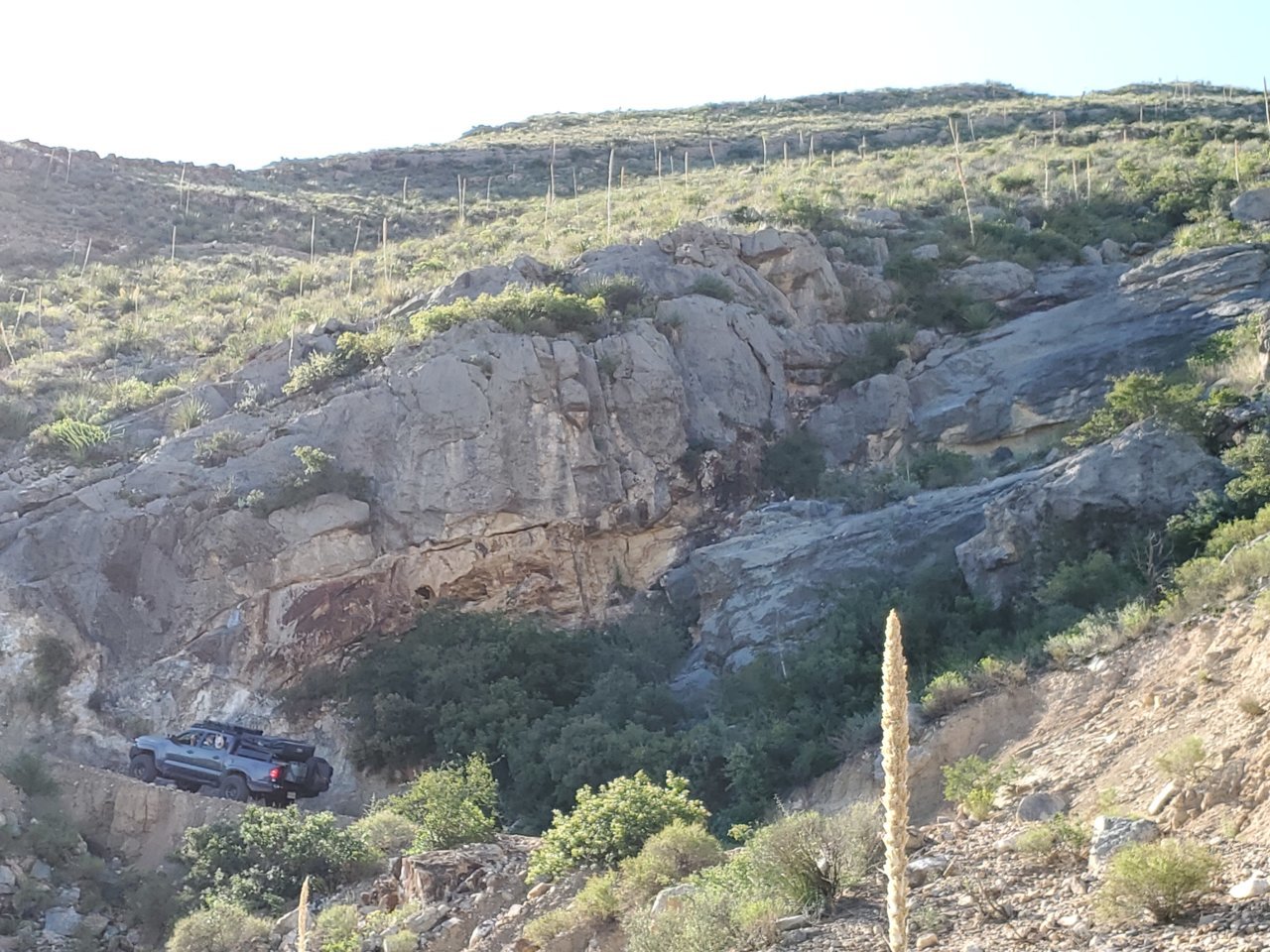 20190917_094706.jpg