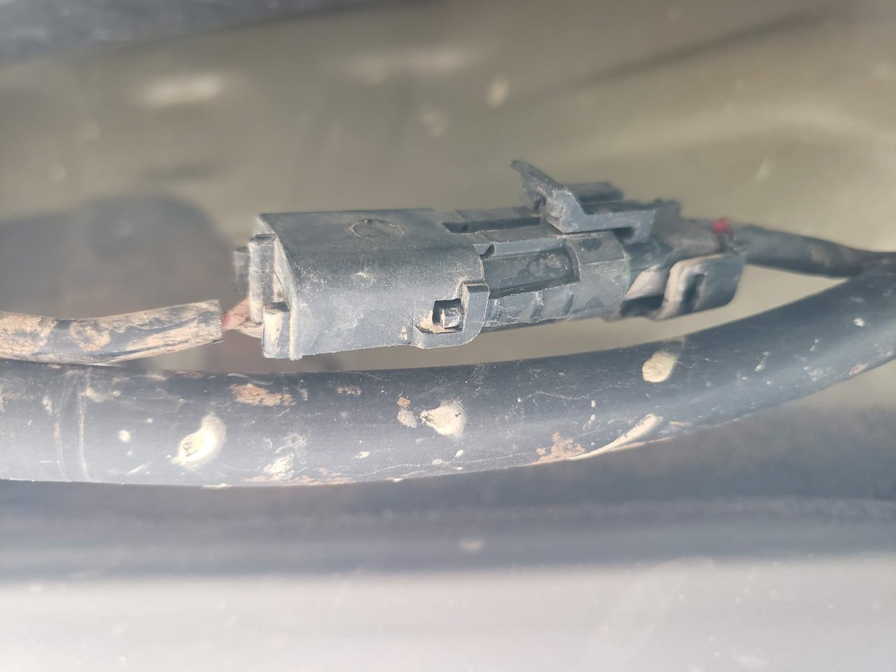 20190917_160431.jpg
