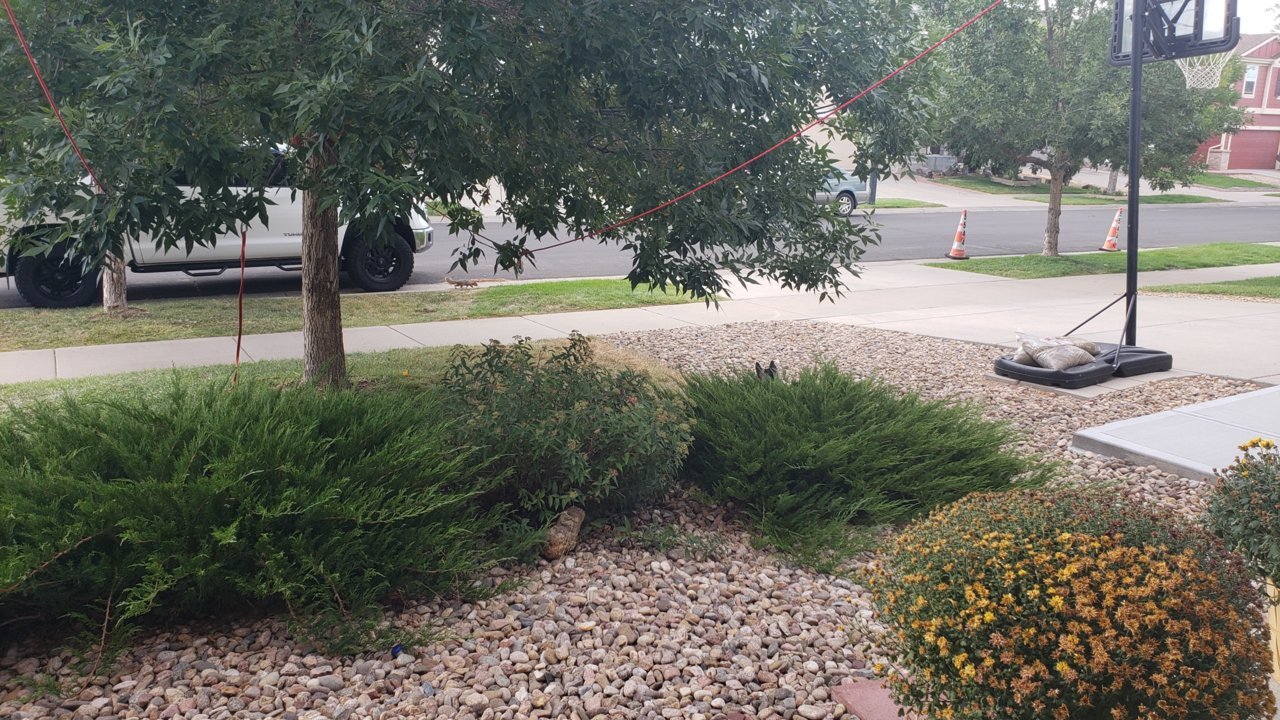 20190917_164913.jpg