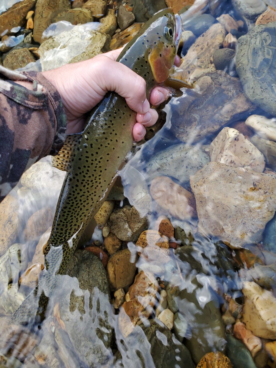 20190917_165355.jpg