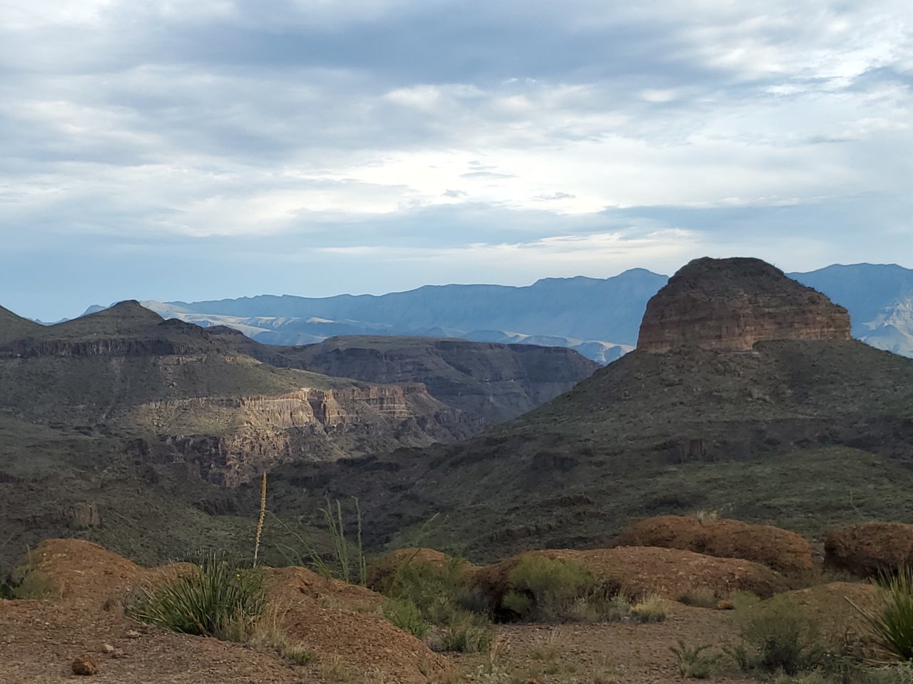 20190917_183523.jpg