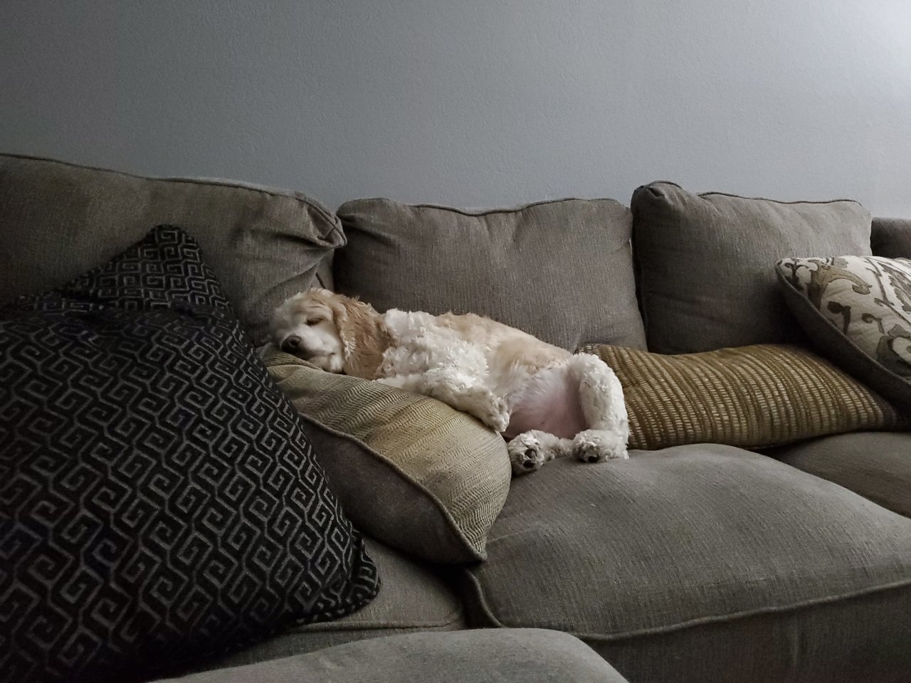 20190917_215156.jpg