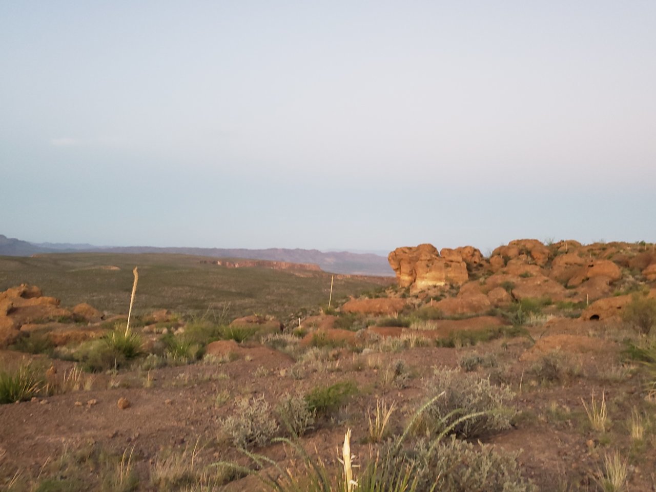 20190918_073153.jpg