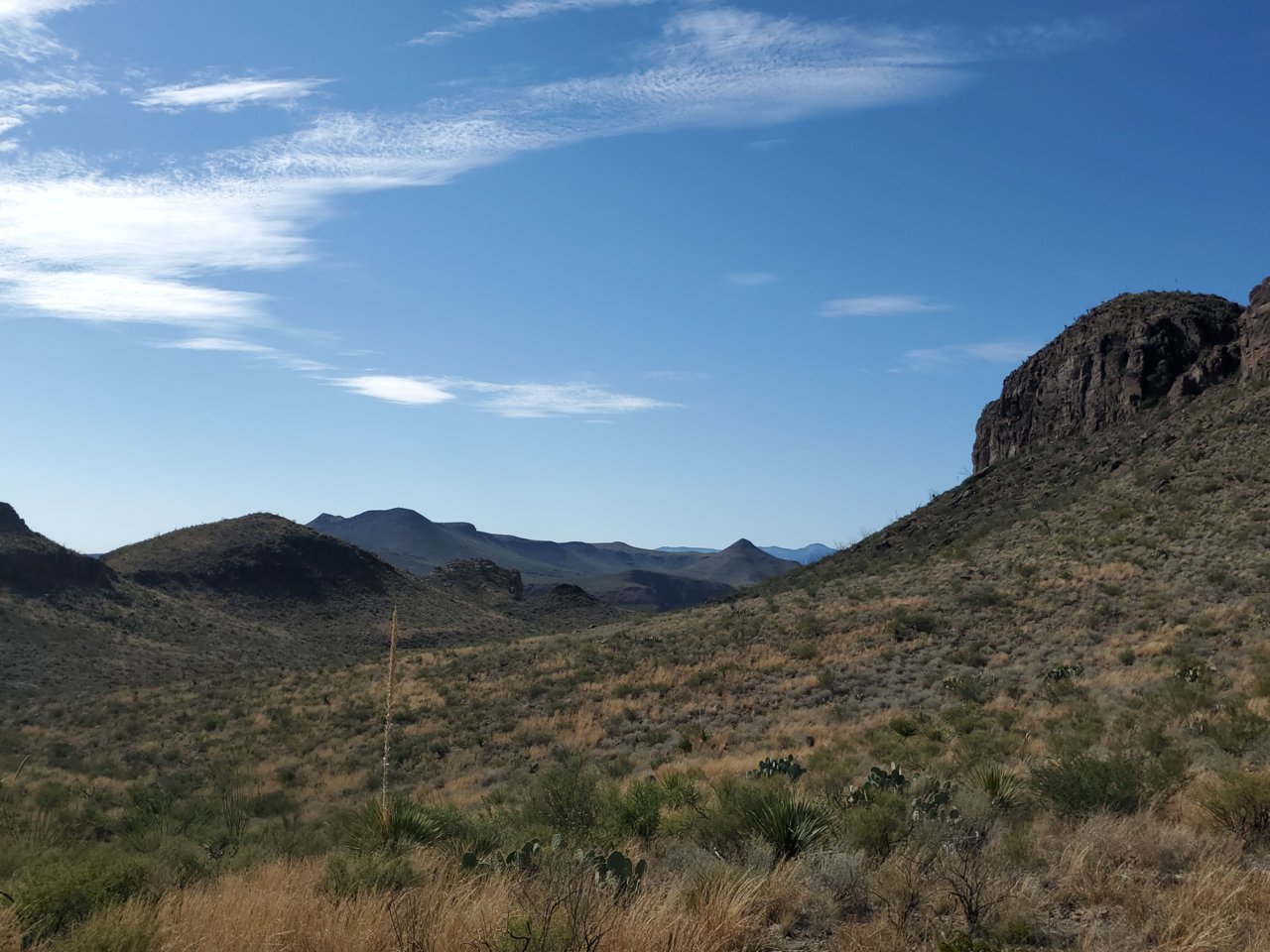 20190918_104642.jpg