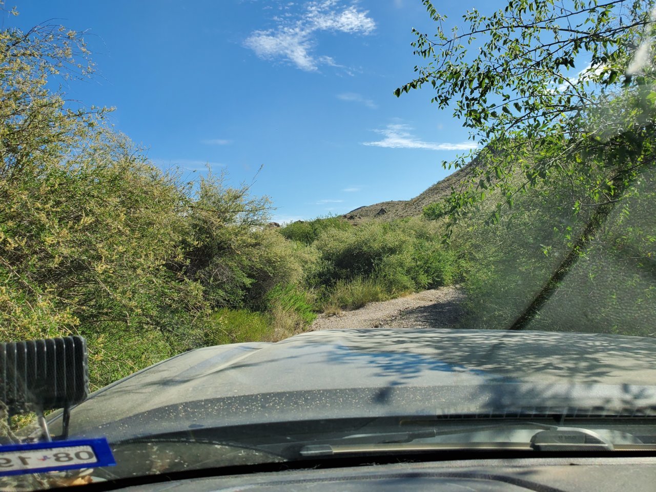 20190918_105944.jpg