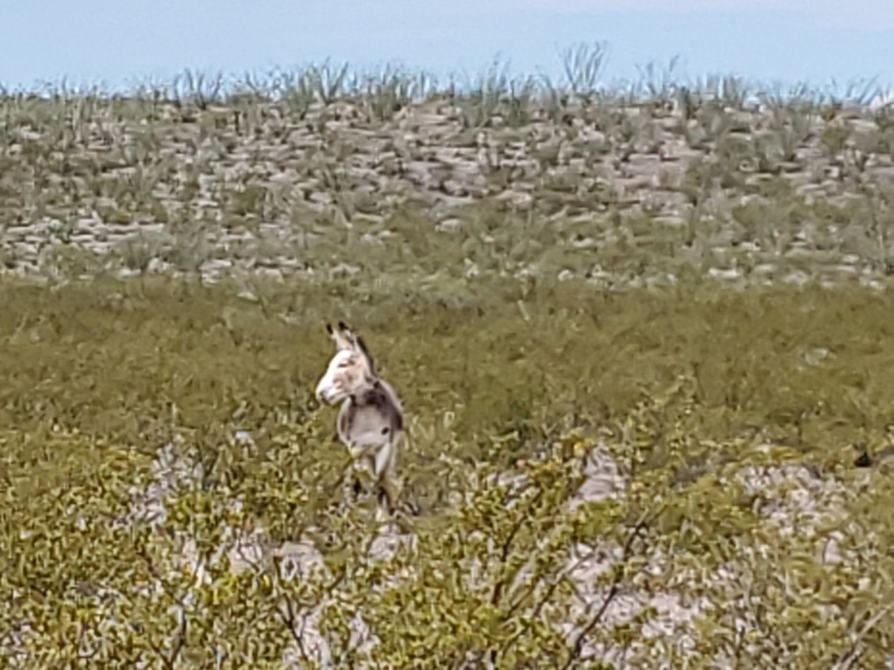 20190918_130414.jpg