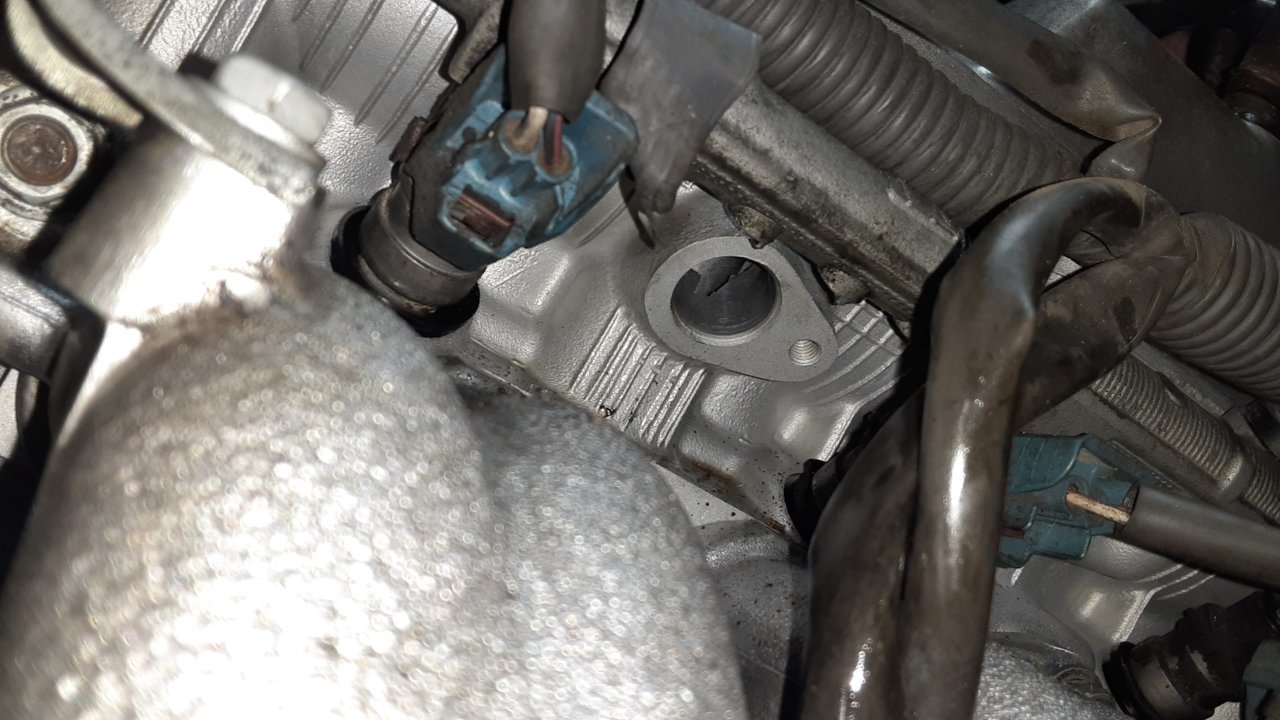 20190918_154013.jpg