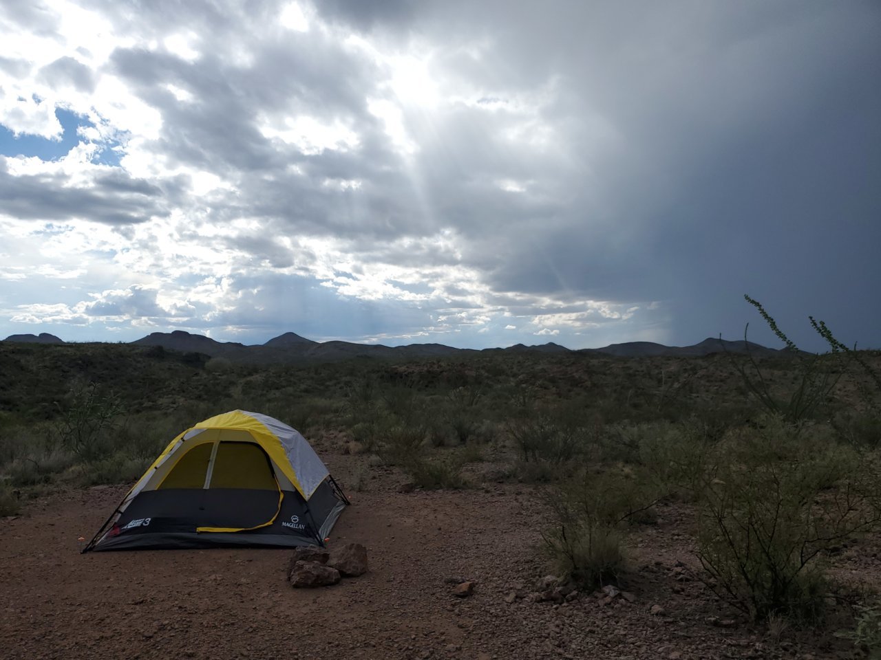 20190918_165234.jpg