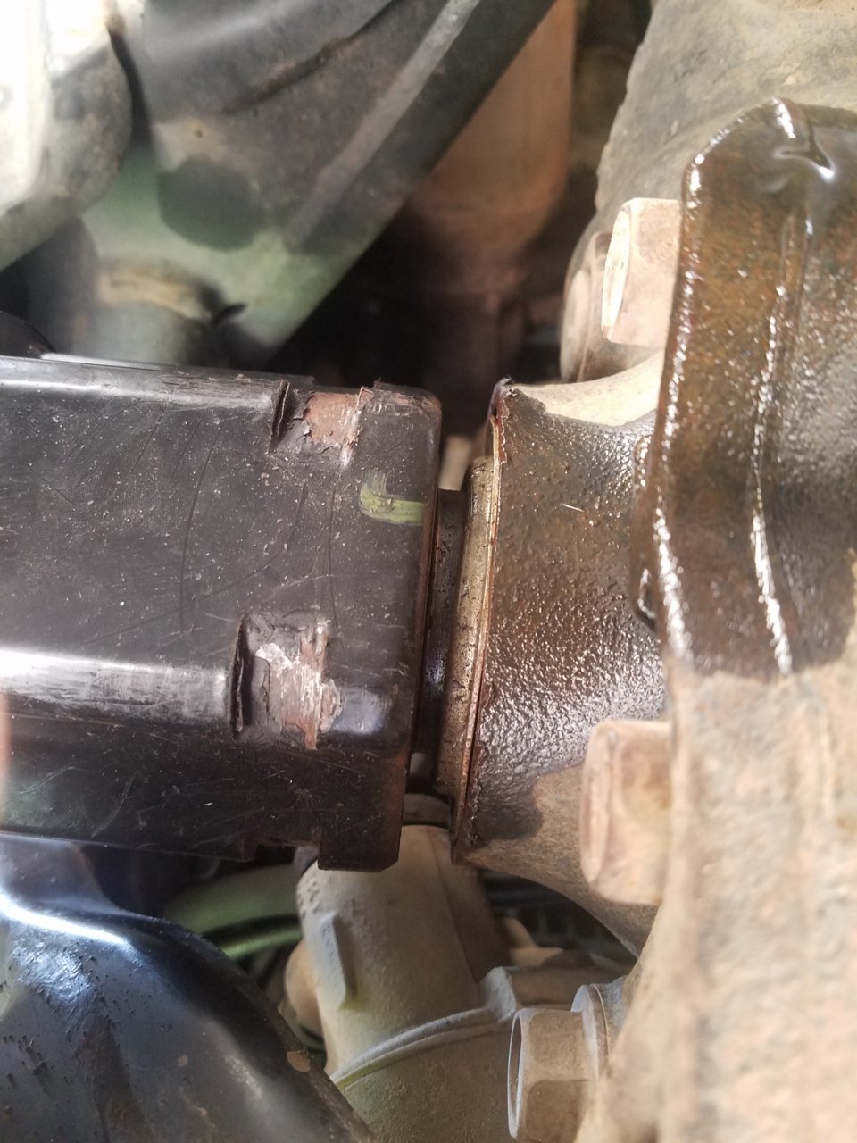 20190919_115635.jpg