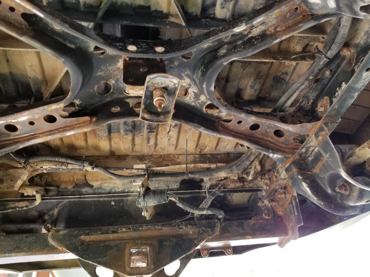 20190919_133855[1].jpg