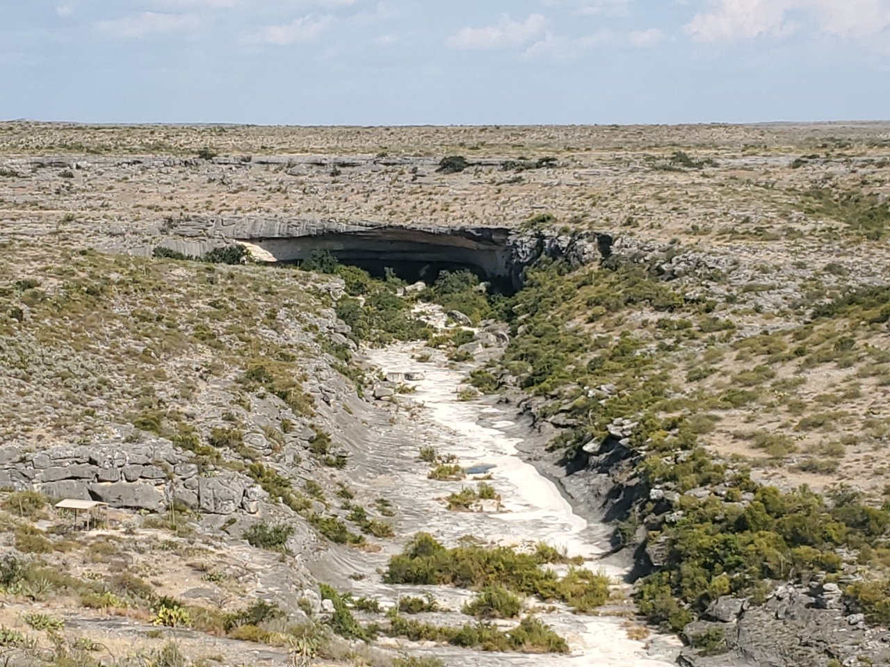 20190919_163139.jpg