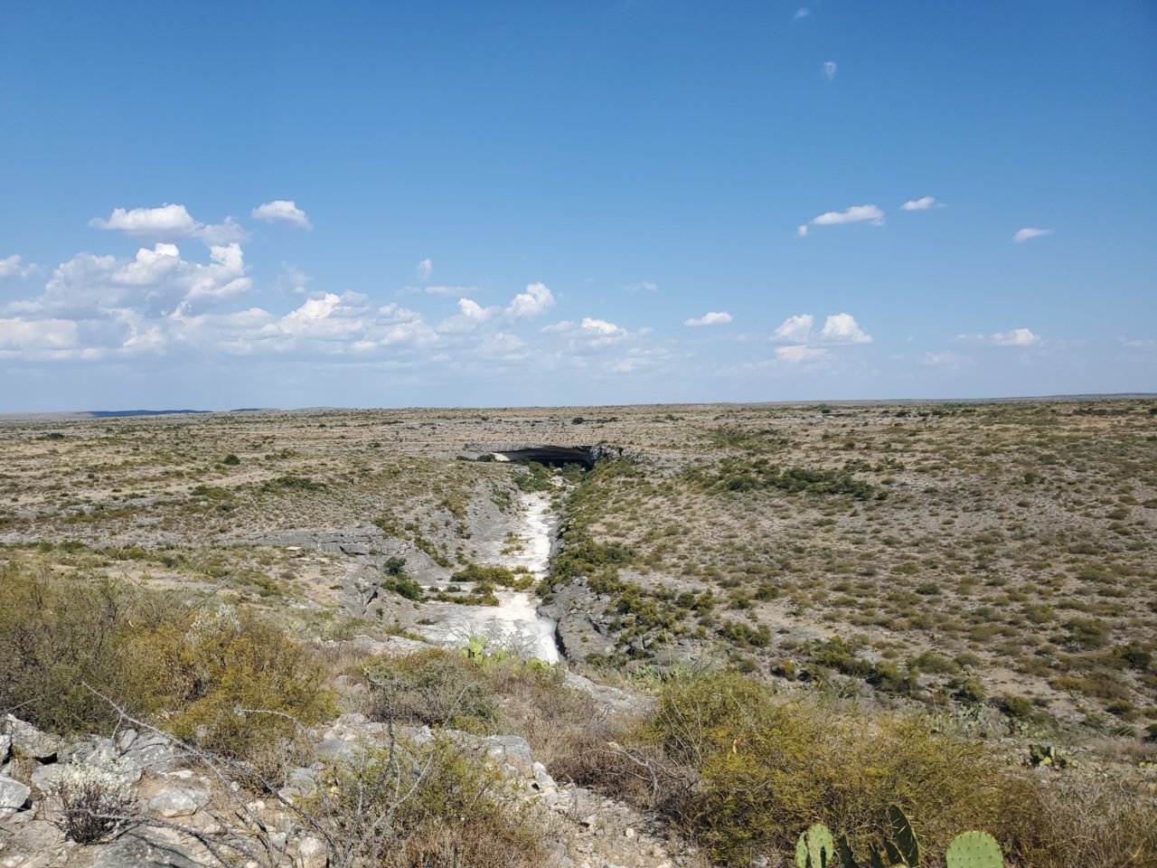 20190919_163807.jpg