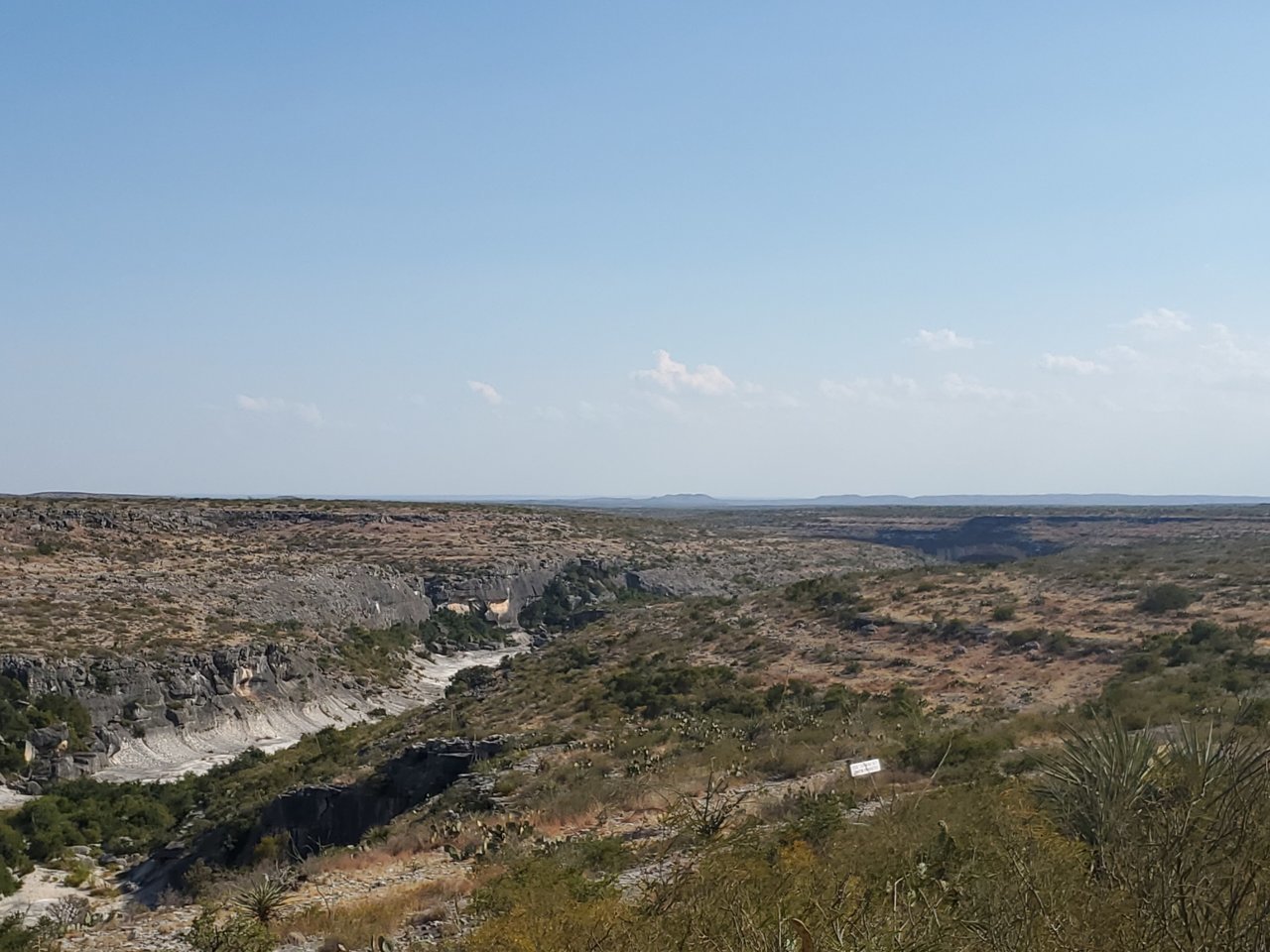 20190919_163827.jpg