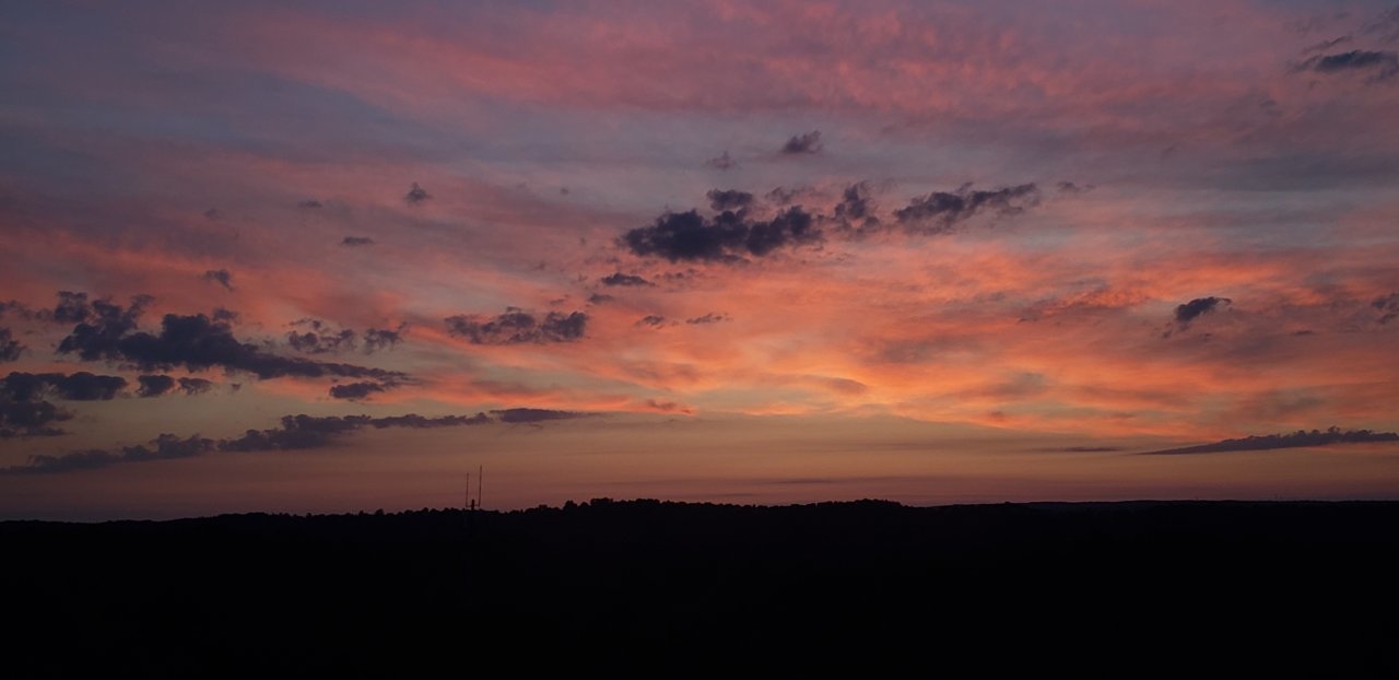 20190920_062259.jpg