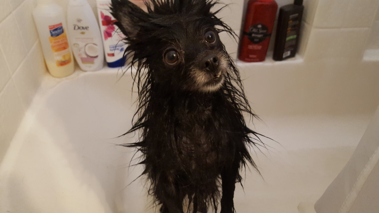 20190920_124731.jpg