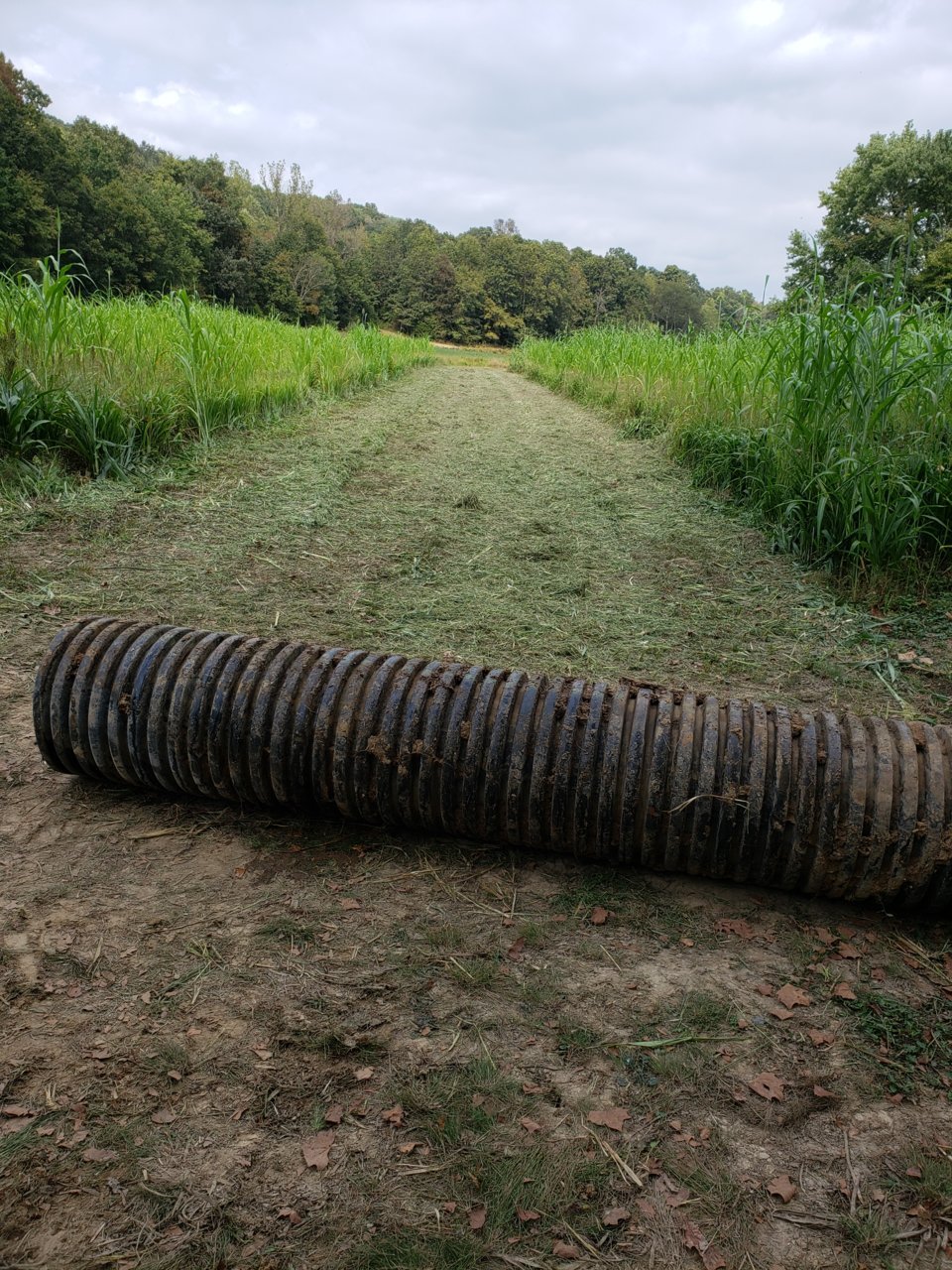 20190920_141807.jpg