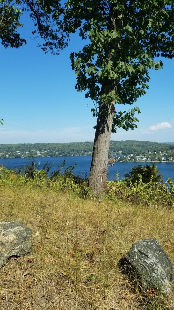 20190923_140446.jpg