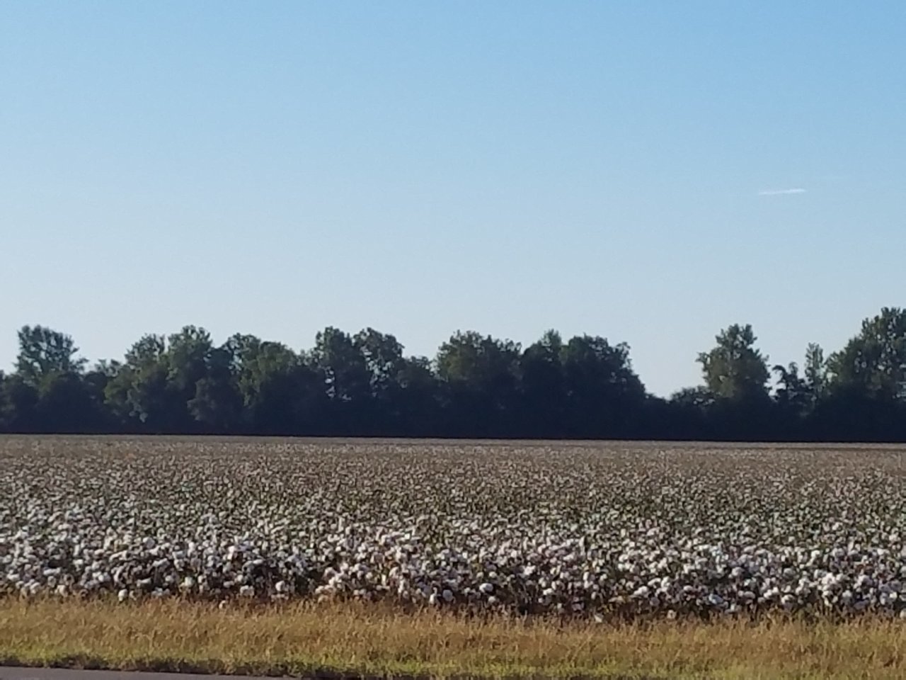 20190924_082148.jpg
