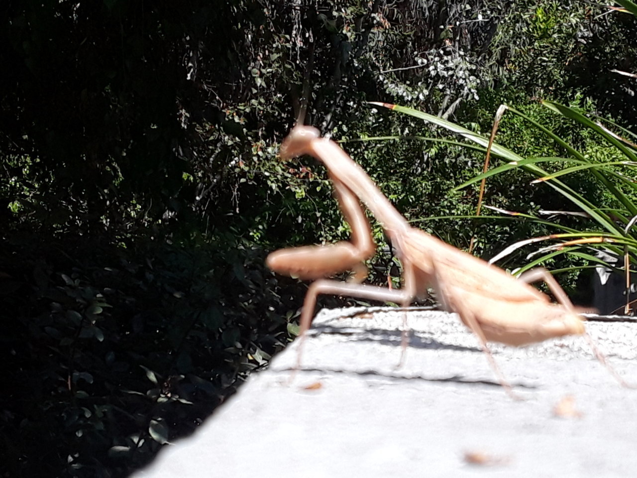 20190924_110219.jpg