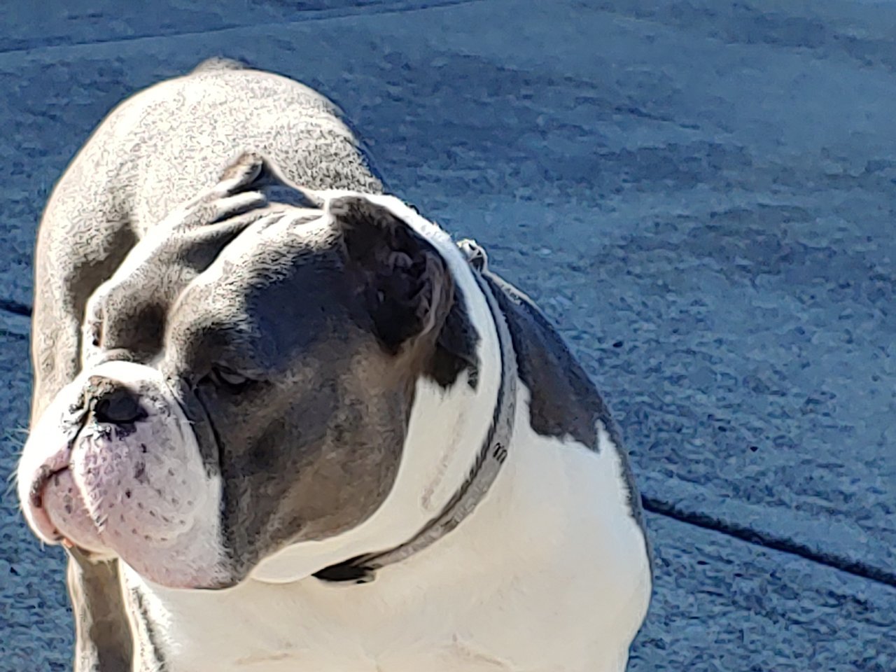 20190925_095916.jpg