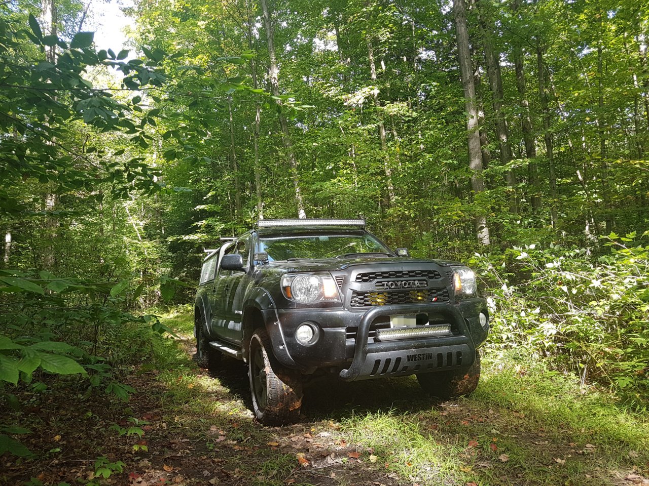 20190925_125603.jpg
