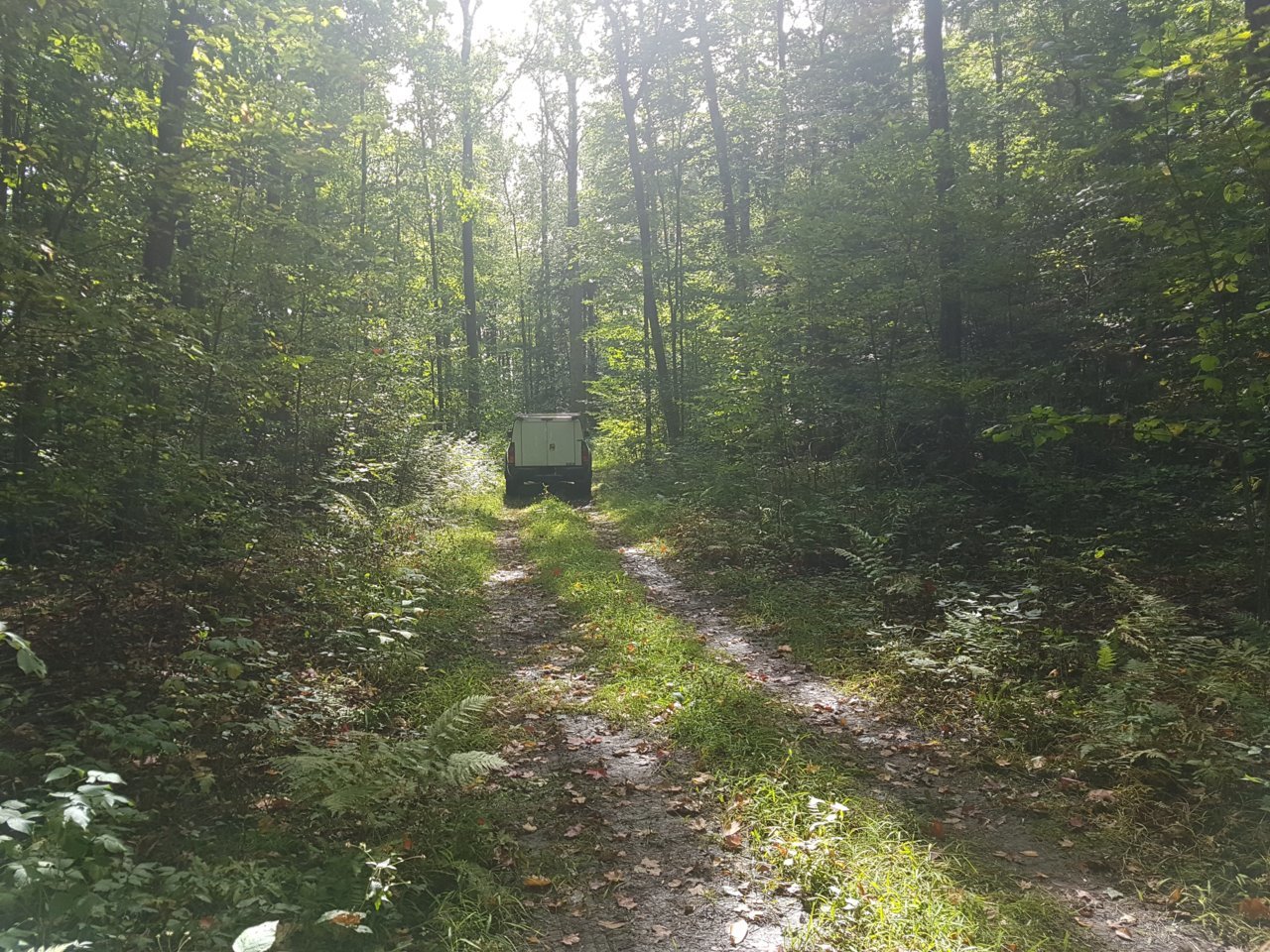 20190925_130029.jpg