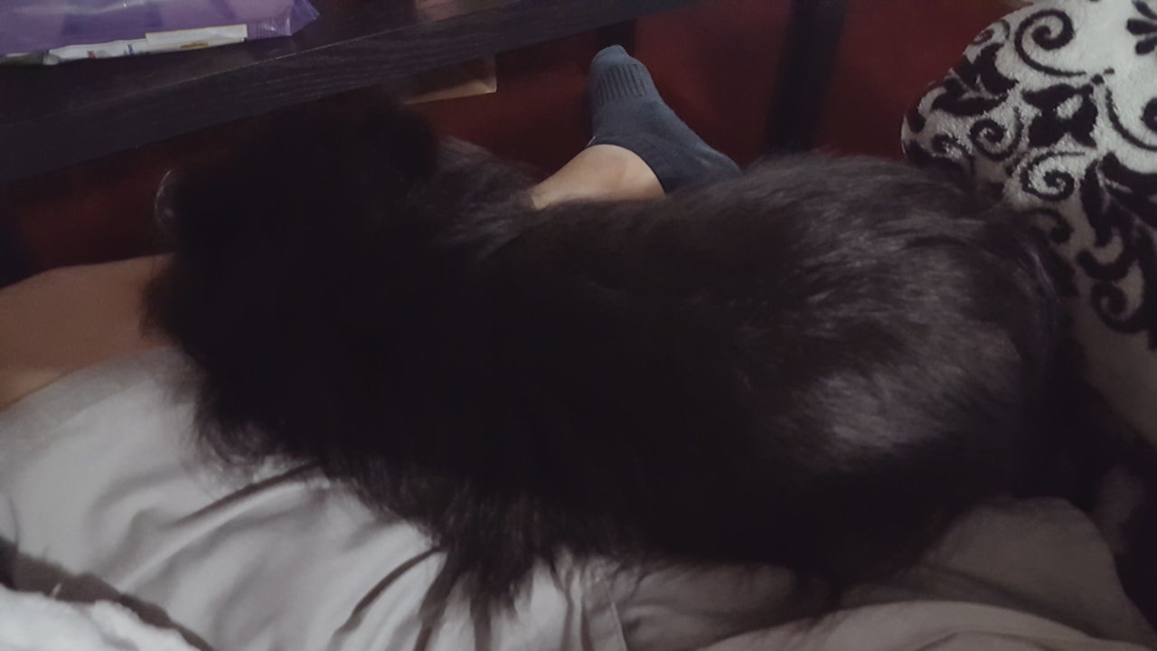 20190925_200333.jpg