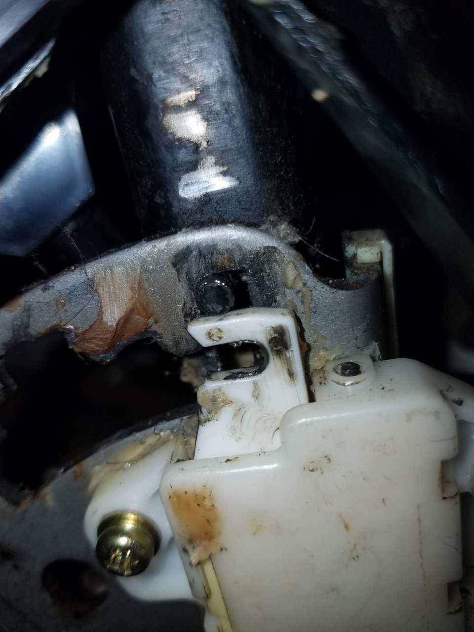 20190927_180018.jpg