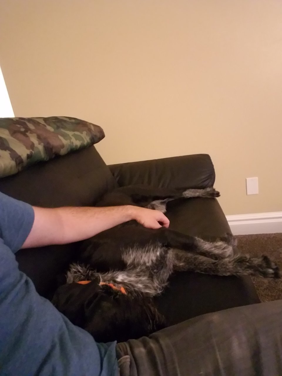20190927_201242.jpg