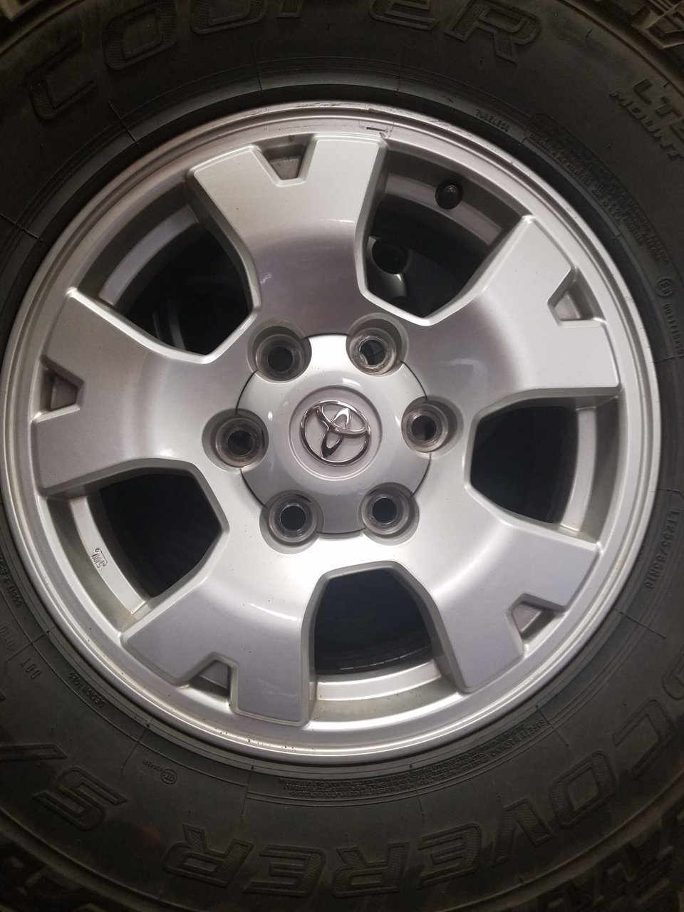 20190928_084958.jpg