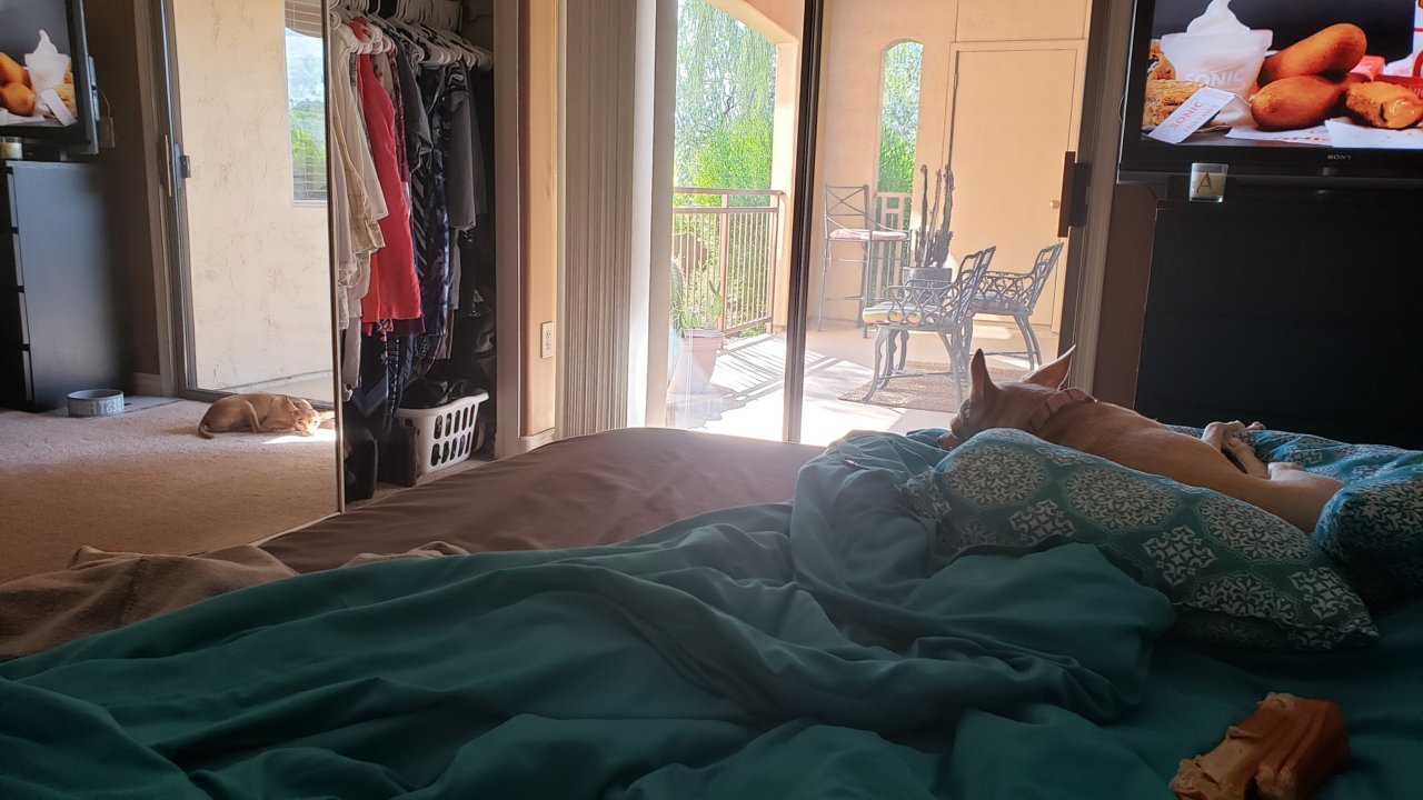 20190928_093838.jpg
