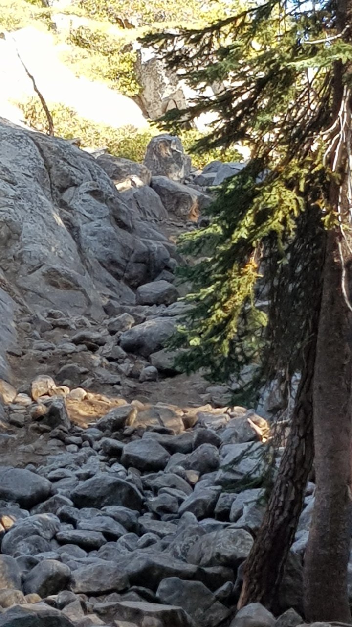 20190928_100212.jpg