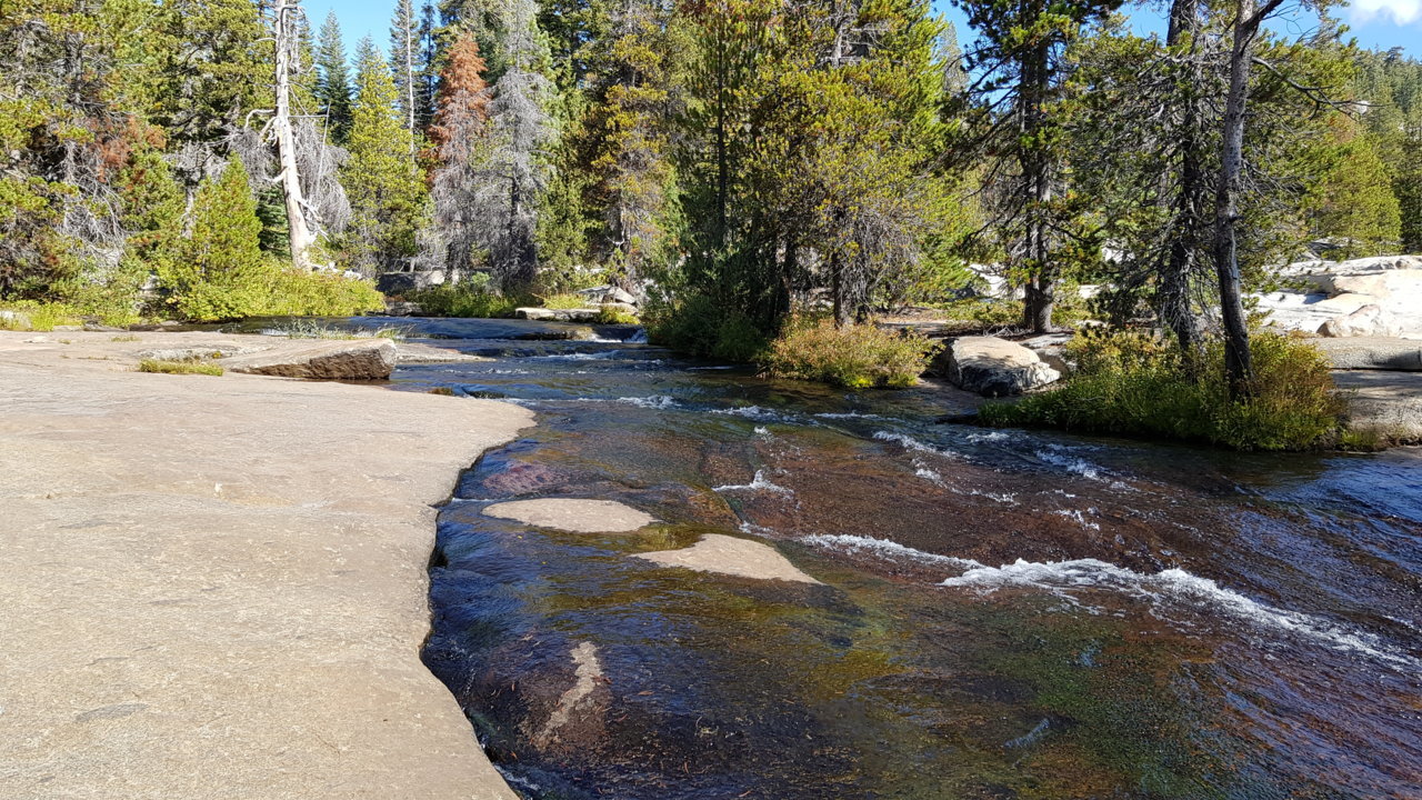 20190928_102036.jpg