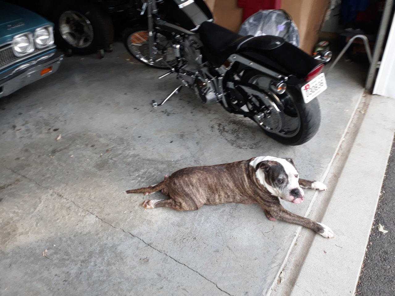 20190928_164324.jpg