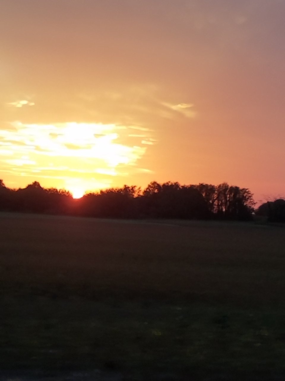20190928_184107.jpg