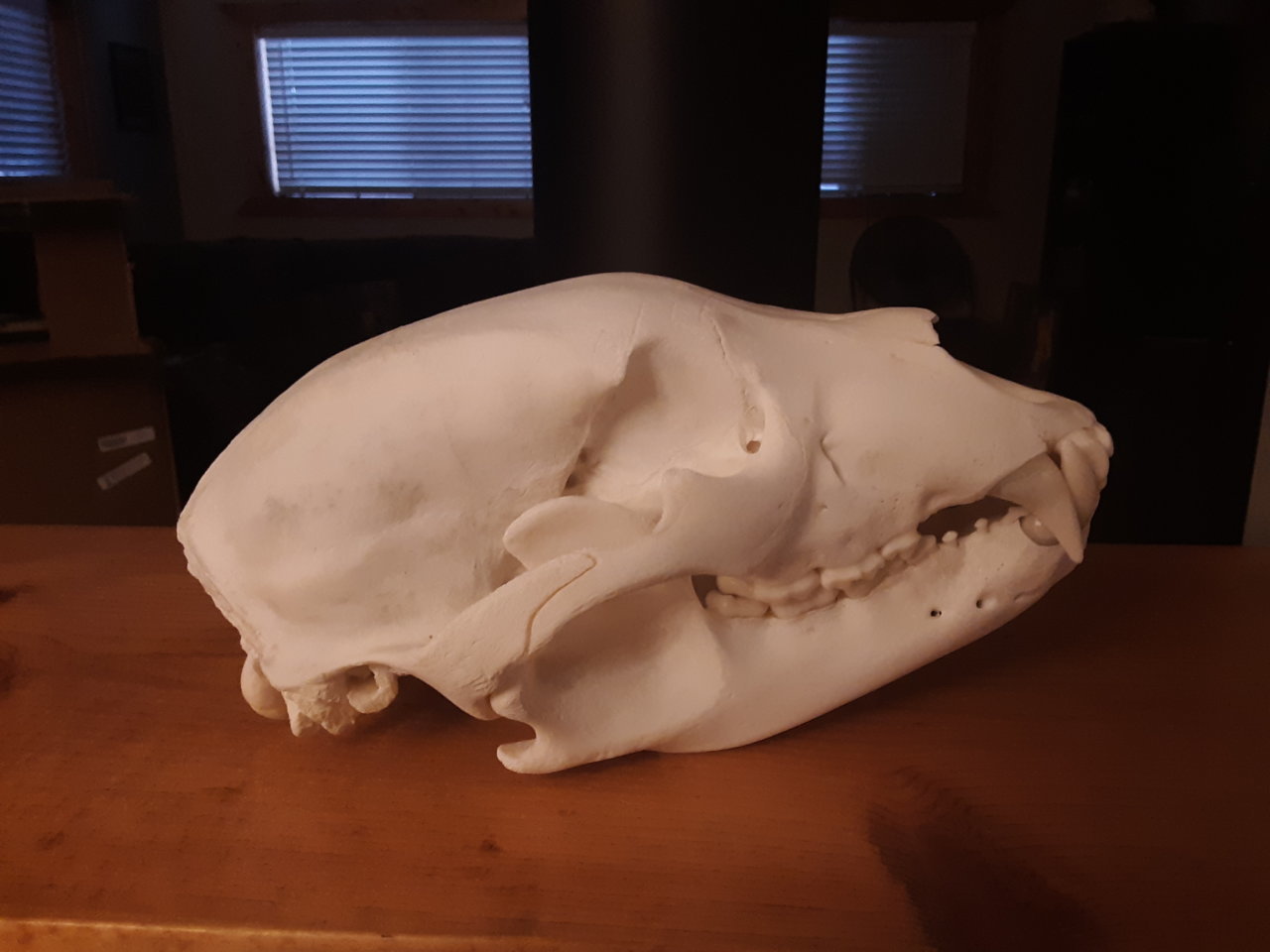 20190929_073925.jpg