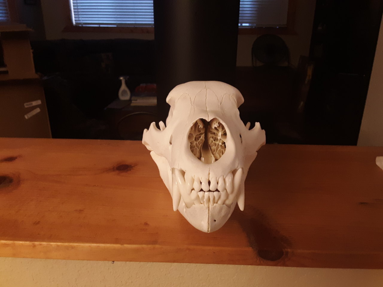 20190929_073942.jpg