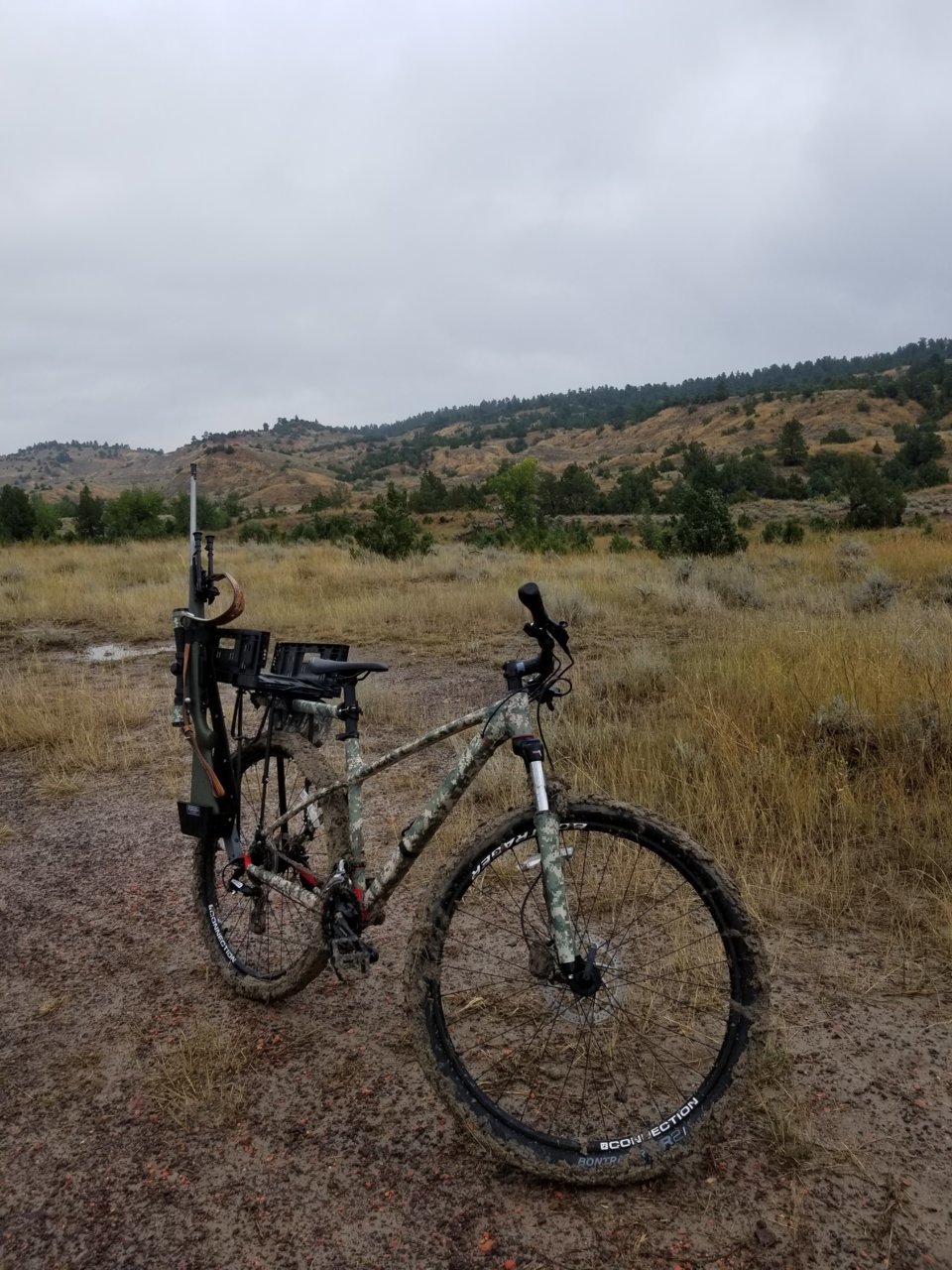 20190929_084826.jpg
