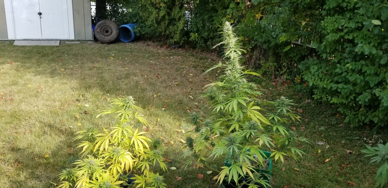 20190929_100145.jpg