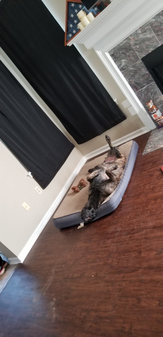 20190929_104156.jpg