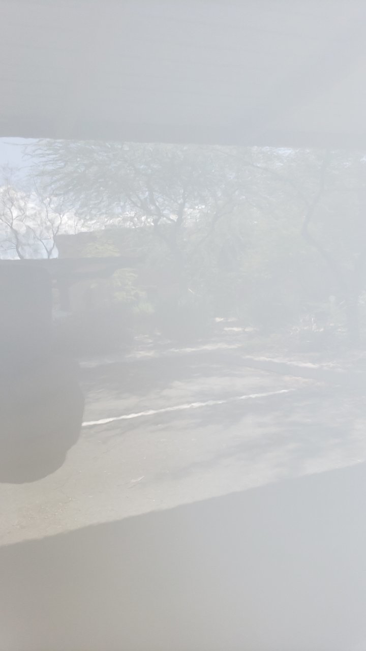 20190929_114913.jpg