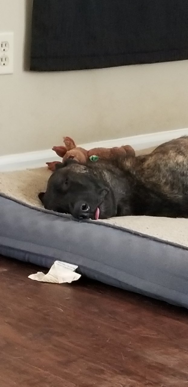 20190929_115841.jpg