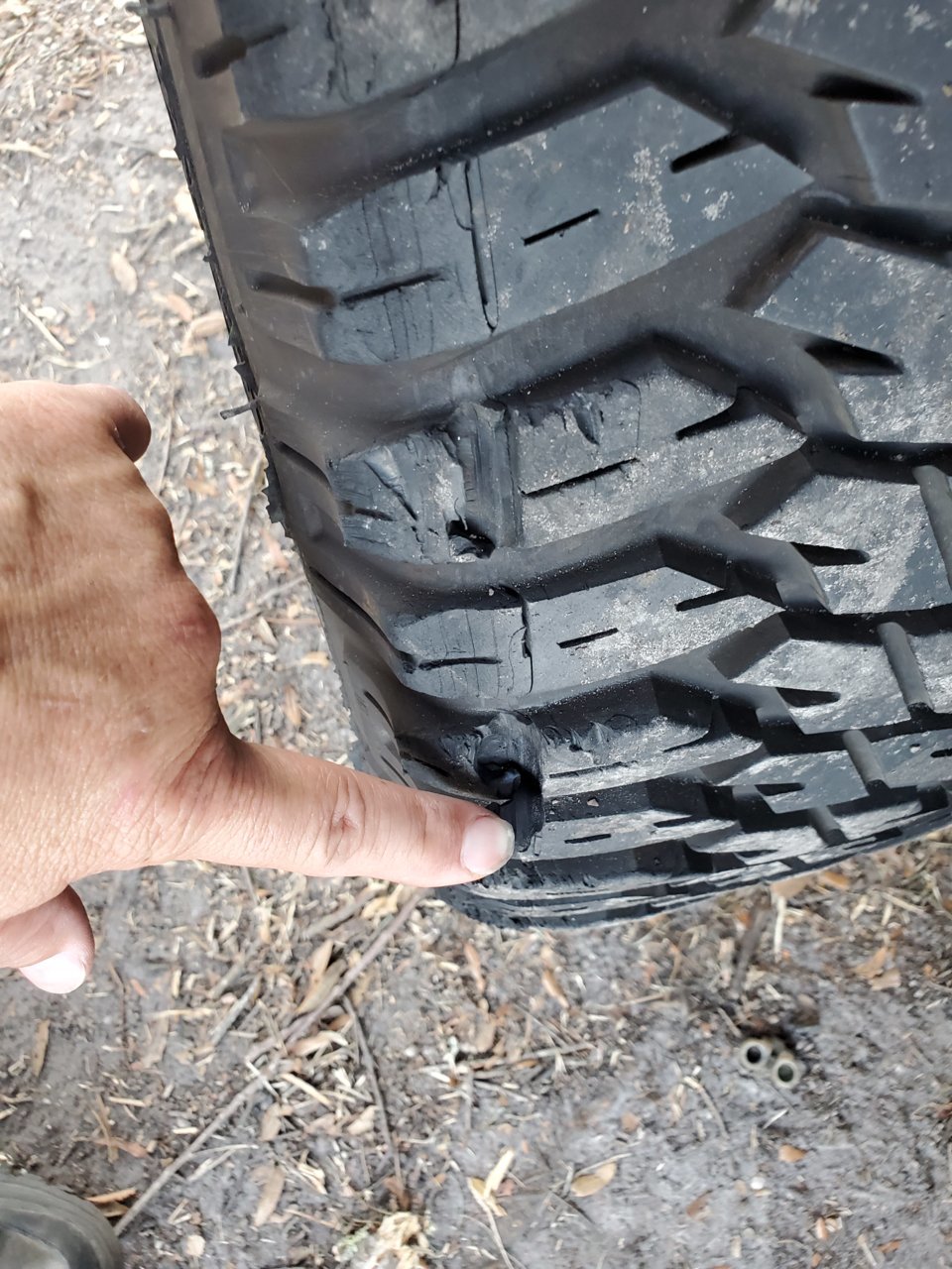 20190929_182616.jpg