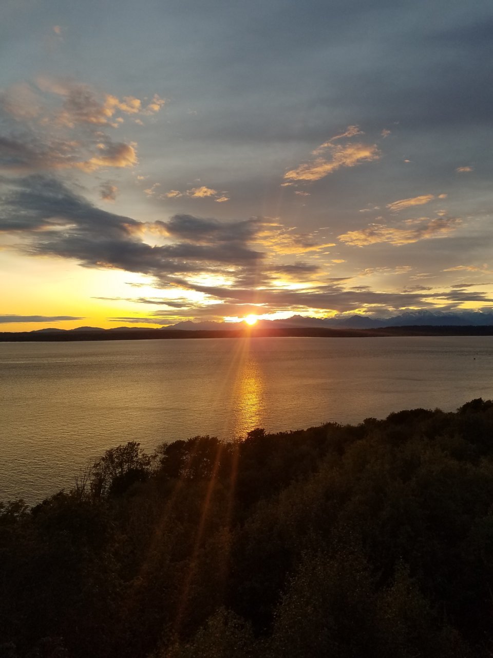 20190929_184303.jpg