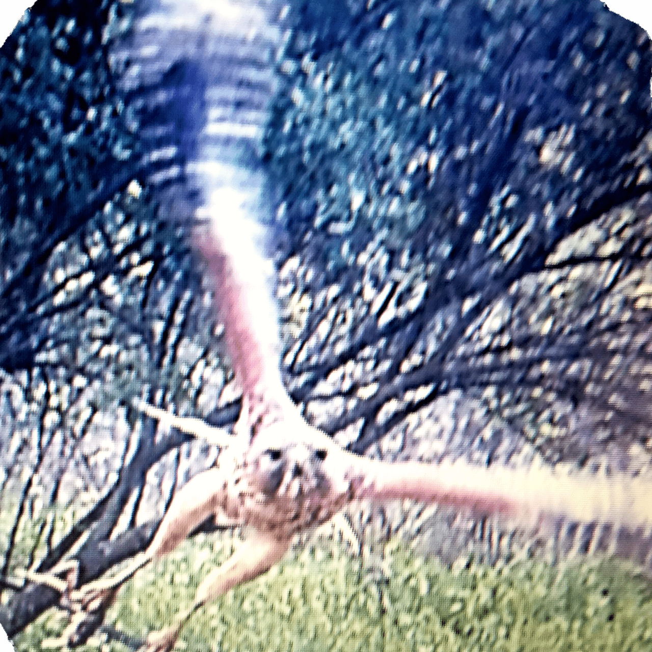 20190929_195342.png