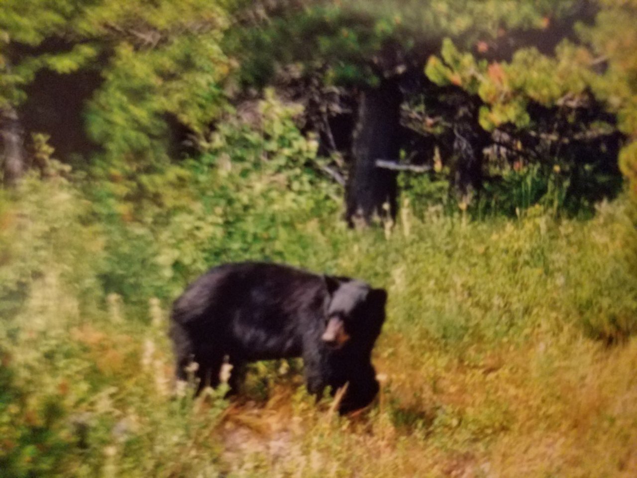 20190929_201726.jpg